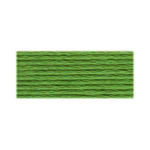 DMC Floss 0989 Forest Green
